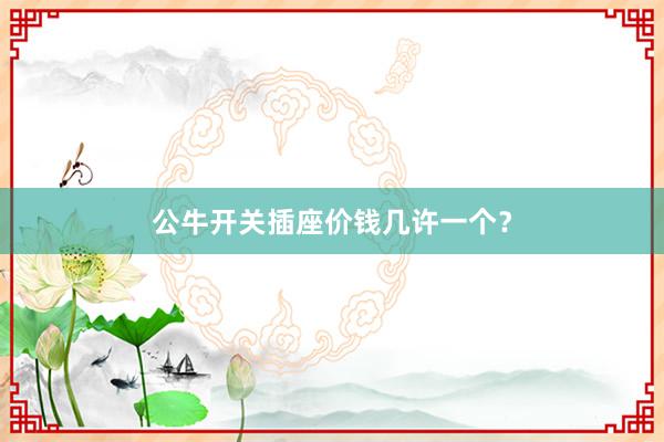 公牛开关插座价钱几许一个？