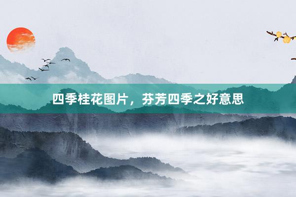 四季桂花图片，芬芳四季之好意思