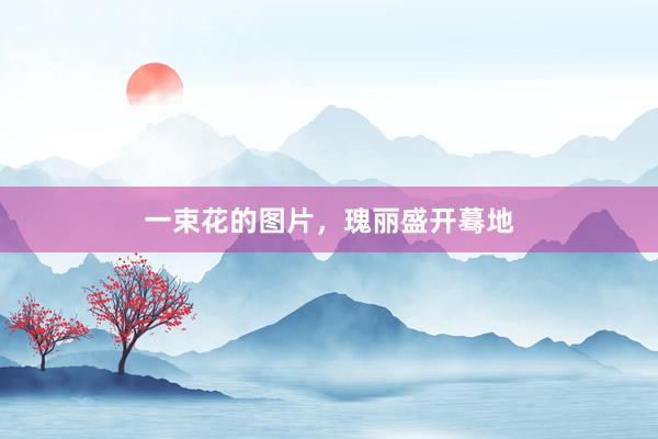 一束花的图片，瑰丽盛开蓦地